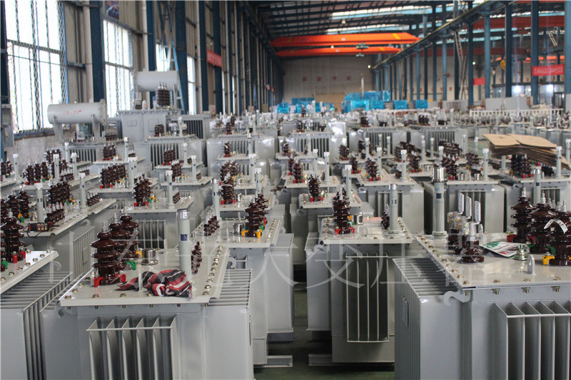 管城回族S22-800KVA/10KV